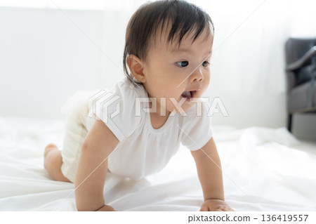 baby   136419557