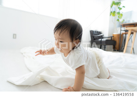 baby   136419558