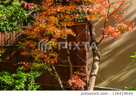 Kanazawa Nagamachi Samurai Residence Ruins in late autumn 136419648
