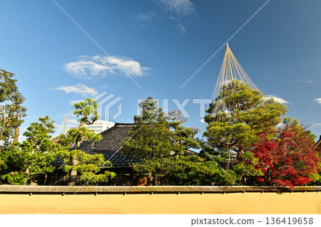 深秋的金澤長町武士住宅遺址 深秋的金澤長町武士住宅遺址 136419658