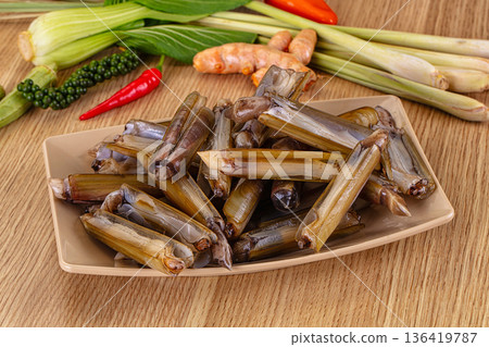 Fresh raw razor fish mollisc 136419787