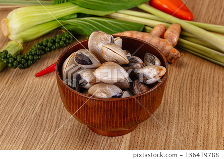 Raw fresh wild clams mollusc Raw fresh wild clams mollusc 136419788