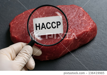 Gloved hand holding magnifying glass over raw meat inspecting HACCP food safety certification in meat industry quality control concept for compliance check Gloved hand holding magnifying glass over raw meat inspecting HACCP food safety certification in meat industry quality control concept for compliance check 136419985