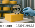 Cheese block under HACCP magnifying glass inspection in dairy facility showing food quality control compliance and hygiene verification process 136419988