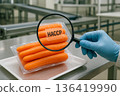 Closeup of vacuum sealed carrots inspected with magnifying glass labeled HACCP in a food safety facility ensuring compliance and quality assurance protocols 136419990