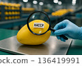 Mango under magnifying glass labeled HACCP during food safety inspection in processing line to ensure proper hazard analysis and critical control compliance 136419991