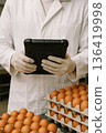 Quality control engineer using digital tablet to inspect fresh eggs in plastic trays inside food production area following HACCP guidelines. 136419998