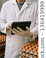 Food safety inspector with gloves using digital tablet to record egg production quality control in food processing facility 136419999