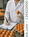 Food safety inspector recording data on clipboard while holding fresh brown egg for quality assessment in industrial egg processing plant. 136420000