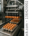 Automated food processing machine placing fresh brown eggs in trays for packaging under HACCP guidelines in an industrial egg facility 136420002