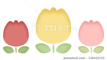 Tulips 3 colors 2 136420133