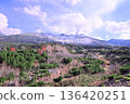 十勝岳的壯麗景色 136420251