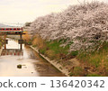 近鐵田原本線穿過奈良盆地，在橫跨河流的鐵路橋上，可以看到一排美麗的櫻花樹。 136420342