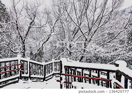 伊木山展望台的雪景 伊木山展望台的雪景 136420777