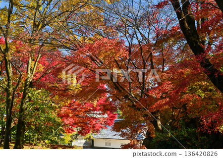 金澤城公園，秋葉美麗 136420826
