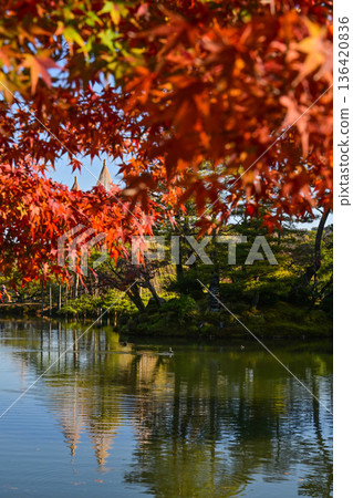 Kanazawa Castle Park with beautiful autumn leaves 136420836