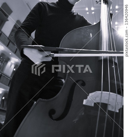 A detailed view of the double bass player's hands and the instrument on stage. A powerful scene captured in black and white photography. 136420946