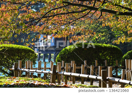深秋的兼六園,紅葉美麗 深秋的兼六園,紅葉美麗 136421060