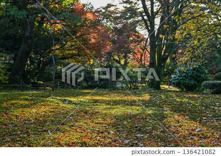 深秋的兼六園，紅葉美麗 136421082