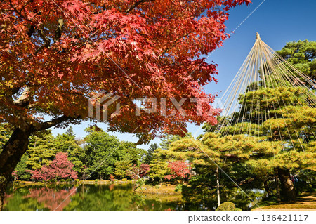 Kenrokuen in late autumn with beautiful autumn leaves Kenrokuen in late autumn with beautiful autumn leaves 136421117