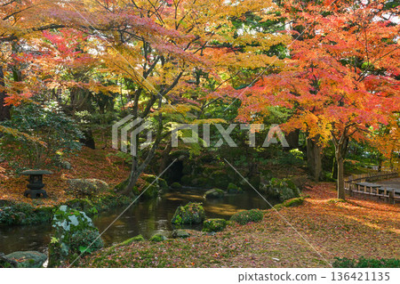 深秋的兼六園,紅葉美麗 深秋的兼六園,紅葉美麗 136421135