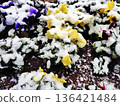 Snow day fun 136421484