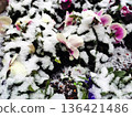 Landscape with snow 136421486