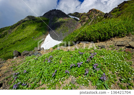 從外緣眺望鳥海山頂,以及岩袋和鳥海房間殖民地。 從外緣眺望鳥海山頂,以及岩袋和鳥海房間殖民地。 136421704