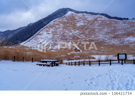 索尼高原的雪景：兩座起伏的山坡上點綴著積雪，周圍是枯萎的銀草。 136421734