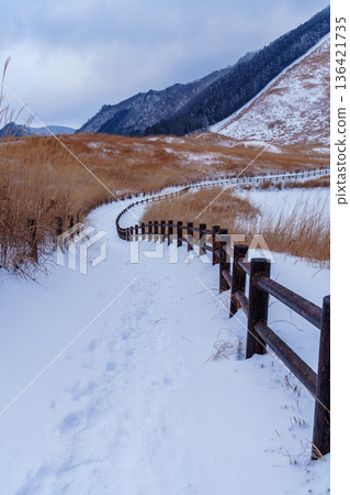 Snowy scenery of the Soni Plateau: Snow-covered walking paths and footprints leading deep into the mountains 136421735