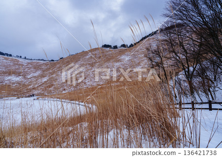 白雪皚皚的索尼高原:通往岡龜池和龜山的步道 白雪皚皚的索尼高原:通往岡龜池和龜山的步道 136421738