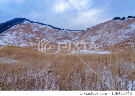Snowy scenery of Soni Plateau: The hiking trail leading to Kameyama Pass and the snow-covered plateau② Snowy scenery of Soni Plateau: The hiking trail leading to Kameyama Pass and the snow-covered plateau② 136421740