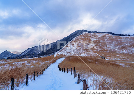 白雪皚皚的索尼高原：一片鉛灰色的天空籠罩著這片高原。 136421750