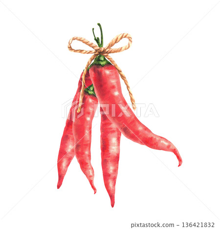 Watercolor red hot chili peppers pods bunch tied together with rope. Hand painted illustration with spicy natural Asian vegetable seasoning. Isolated from background for food seasoning, Asian spices. 136421832
