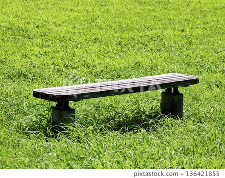 Park bench Park bench 136421855