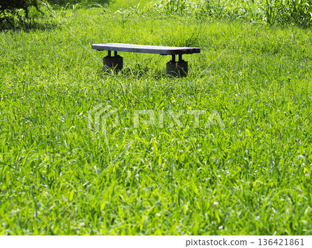 Park bench Park bench 136421861