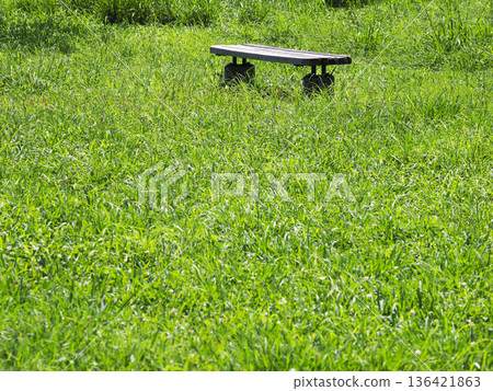 Park bench 136421863