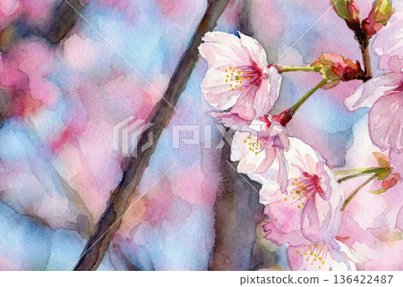 Watercolor painting of a twig of sunlight cherry blossoms 136422487