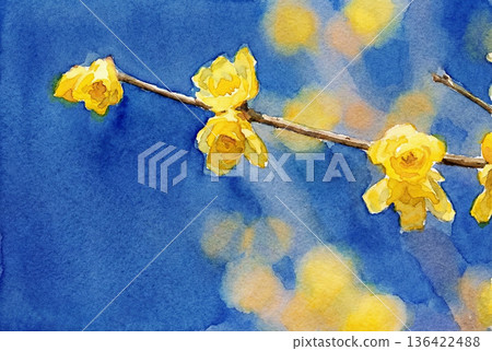 Wintersweet Branch Illustration 136422488