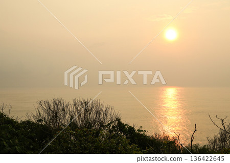 Sun sets over the water with reflections and coastal plants Sun sets over the water with reflections and coastal plants 136422645