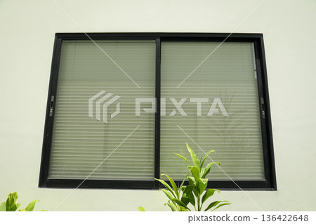 A window with blinds shows a green plant outside A window with blinds shows a green plant outside 136422648