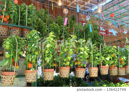 淺草鈴木市 136422749