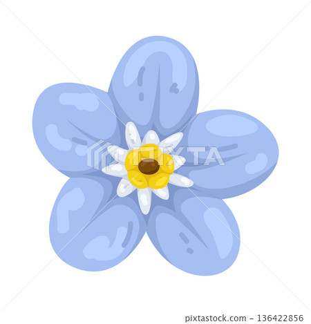 Illustration of forget-me-not flower 136422856