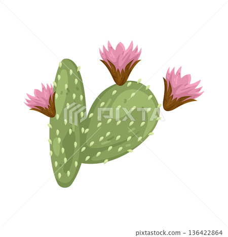 Illustration of cactus with pink flowers Illustration of cactus with pink flowers 136422864
