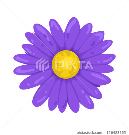 Illustration of purple daisy 136422865