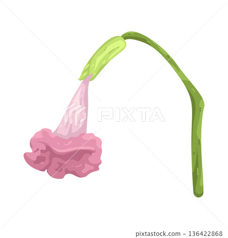 Illustration of pink angel trumpet flower  136422868