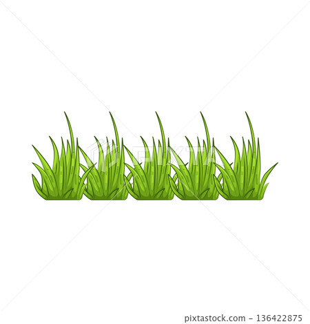 Illustration of grass Illustration of grass 136422875