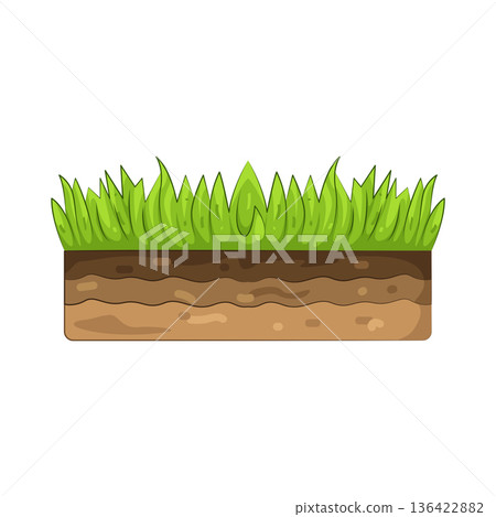 Illustration of grass  136422882