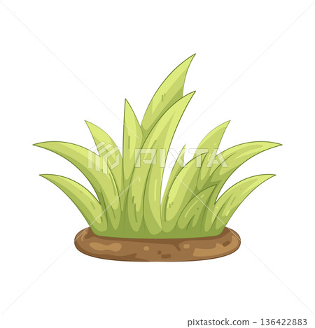 Illustration of grass Illustration of grass 136422883