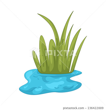Illustration of Grass growing in water 136422889